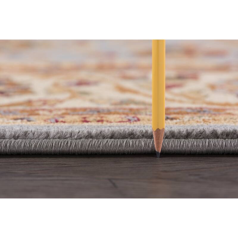 Soho Traditional Floral Indoor Area Rug