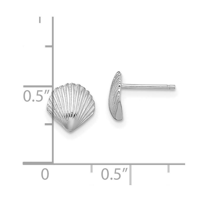 Curata 14k White Gold 7.8x7.9mm Scallop Shell Post Earrings