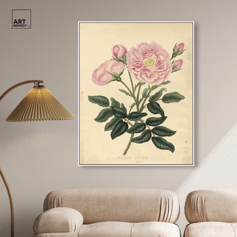 French Rose Canvas by Art Remedy
