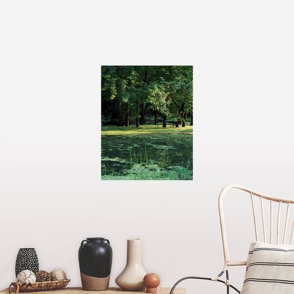 Shop Algae Covered Backwaters Of Mississippi River Upper Mississippi National Wildlife Refuge Iowa Poster Print On Sale Overstock 16881382