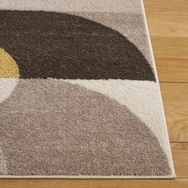 SAFAVIEH Adirondack Jarmila Mid-Centry Modern Retro Rug