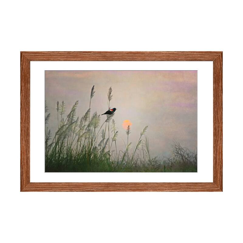 iCanvas "Red Winged Blackbird In Marshes At Dusk" by Laura D Young - Walnut - 16x24x1
