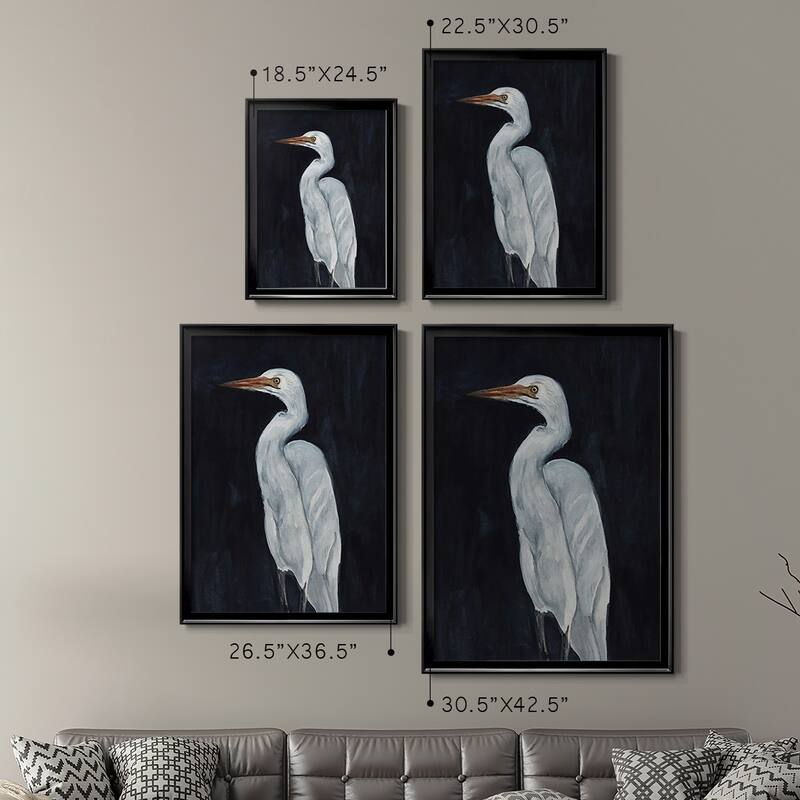 Calm Great Egret I Premium Framed Print - Ready to Hang