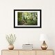 preview thumbnail 3 of 18, iCanvas "Birch Trees & Tall Grass" by Danny Head