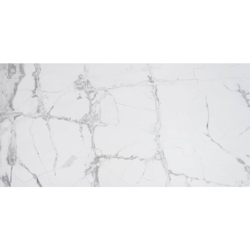 Penthouse 12x24 Polished Porcelain Tile - Floor, Wall - Large Format