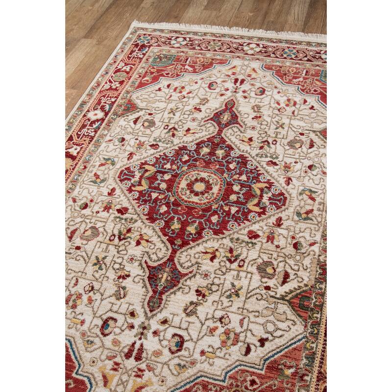 Momeni Lenox Traditional Medallion Area Rug