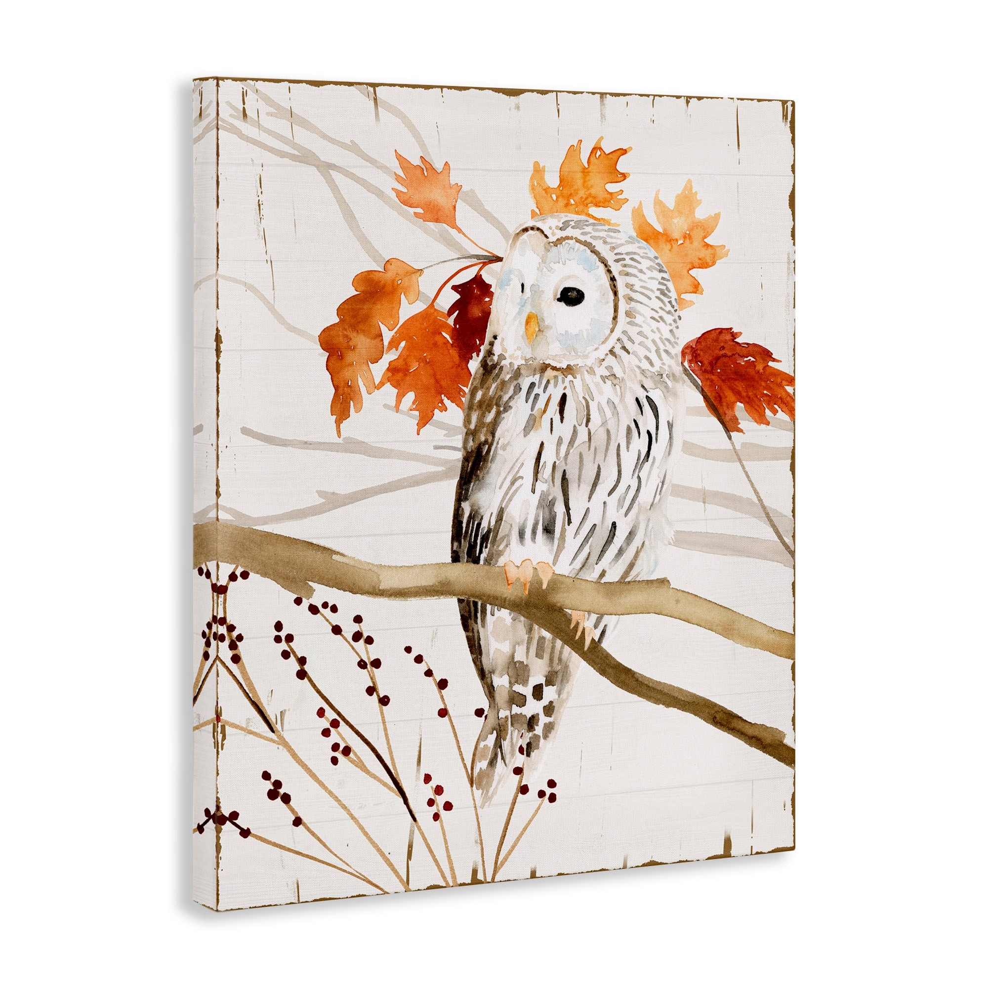 Stupell Owl In Fall Forest Animal Watercolor Painting Canvas-image