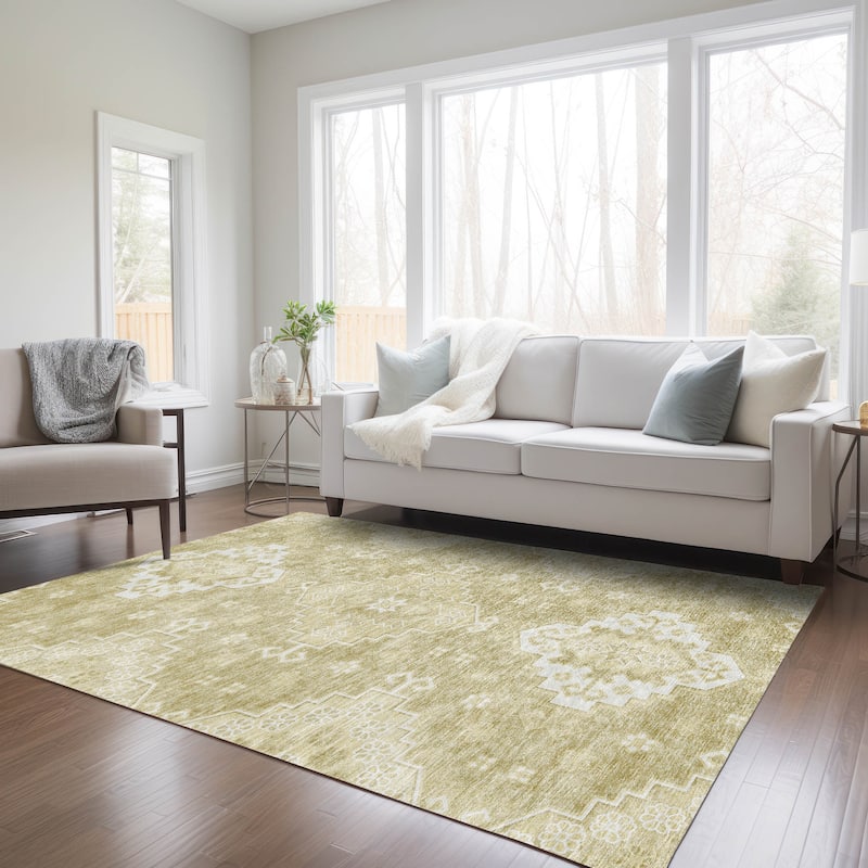 Machine Washable Indoor/ Outdoor Chantille Traditional Boho Rug