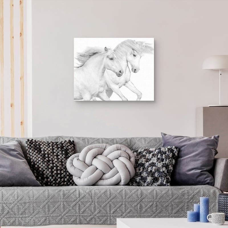 Duo II by Samantha Carter Canvas Art Print