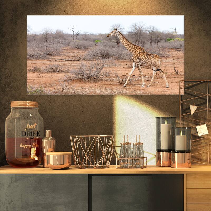 Designart "Giraffe Walking through African Forest" Modern Animal Canvas Wall Artwork Print - 32 in. wide x 16 in. high - 1 Panel