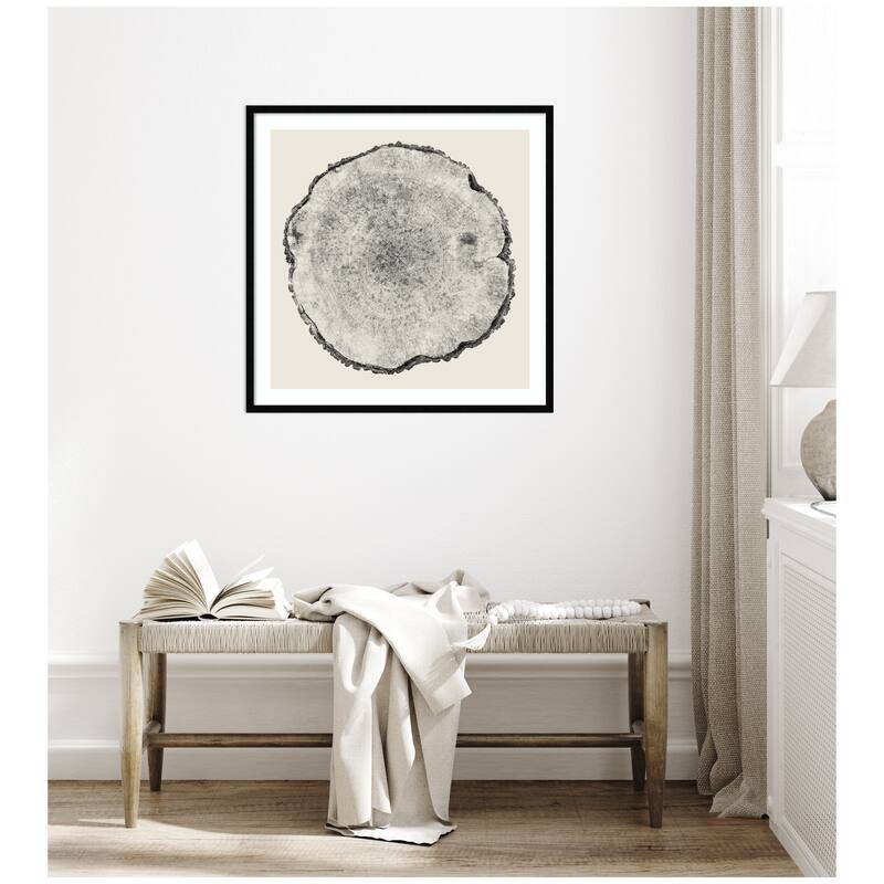 Kate and Laurel Tree Rings No. 1 by Emiko and Mark Franzen F2 Images Framed Wall Art Print