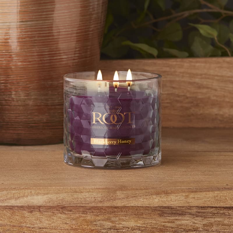Root Blackberry Honey Scented 3-Wick Signature Honeycomb Jar - 12 oz