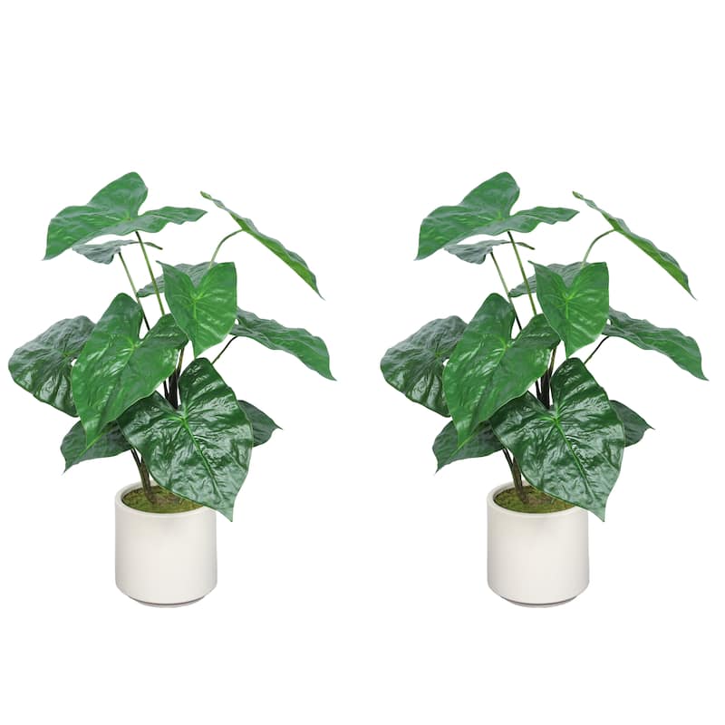 30" Artificial Tropical Alocasia Leaf Plant With White Pot 2pc/set