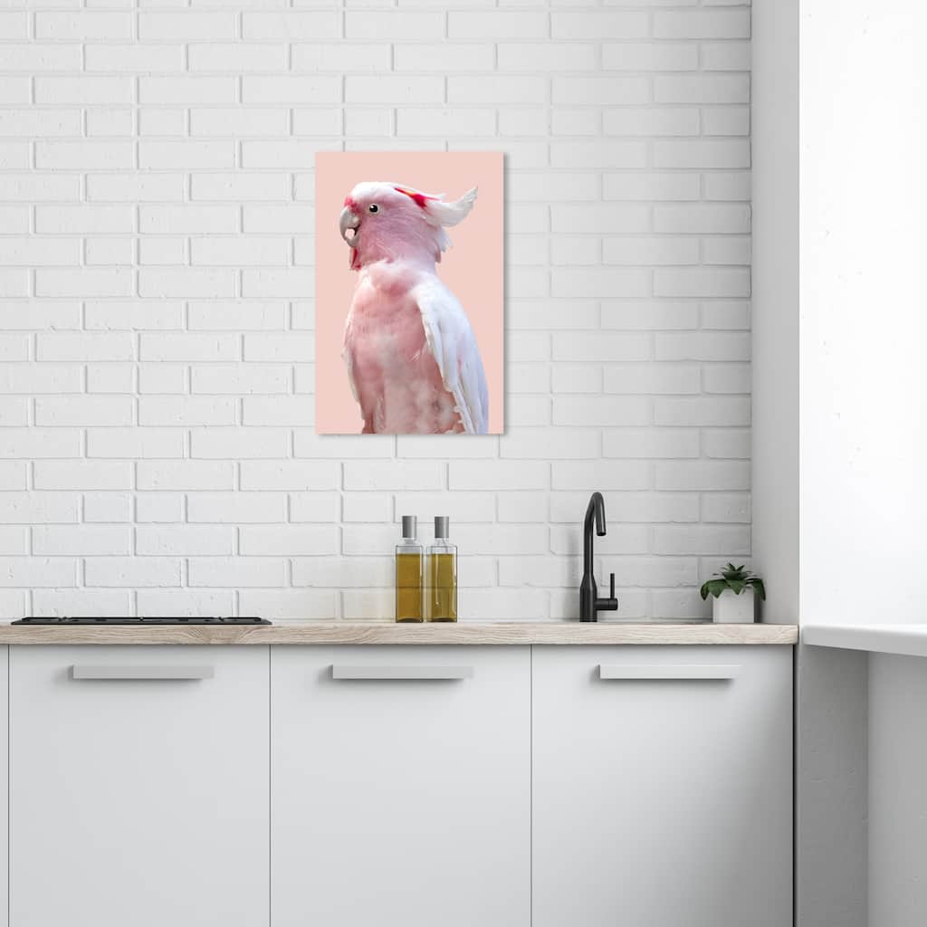 Wynwood Studio Canvas Animals Pink Exotic Feather Coral Pink and Pastel Pink Rustic Wall Art Canvas Print