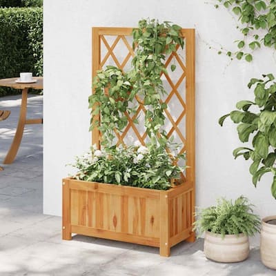 Natural Acacia Wood Raised Garden Bed Planter with Trellis and Drainage - 21.7" x 11" x 39.4" (L x W x H)