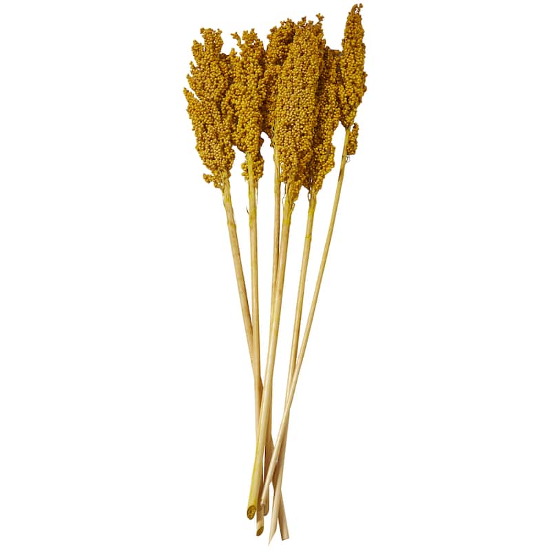 Yellow Dried Plant Corn Maze Home Decor Natural Foliage with Long Stems