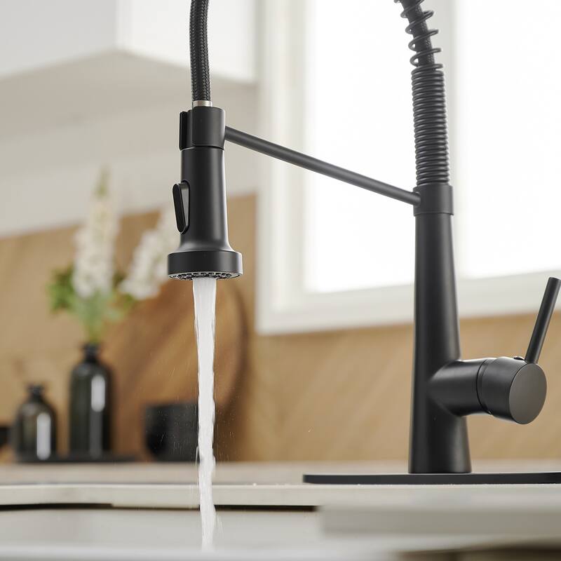 WIZ Pull-Down Sprayer 2 Spray High Arc Kitchen Faucet