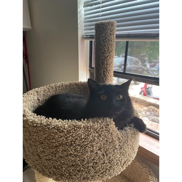 Shop Prestige Cat Trees Cat House For Large Cats Overstock
