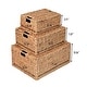 preview thumbnail 5 of 8, Woven Rectangular Storage Baskets with Lids & Handles (Set of 3)