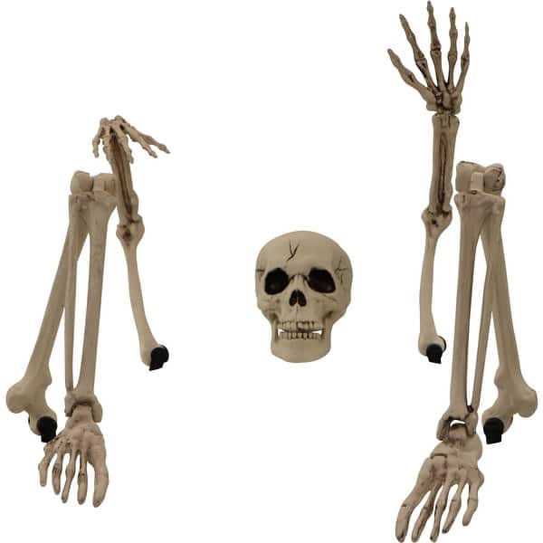 slide 2 of 3, Haunted Hill Farm 2.8-ft. Ground-Breaking Skeleton, Indoor/Outdoor Halloween Decoration
