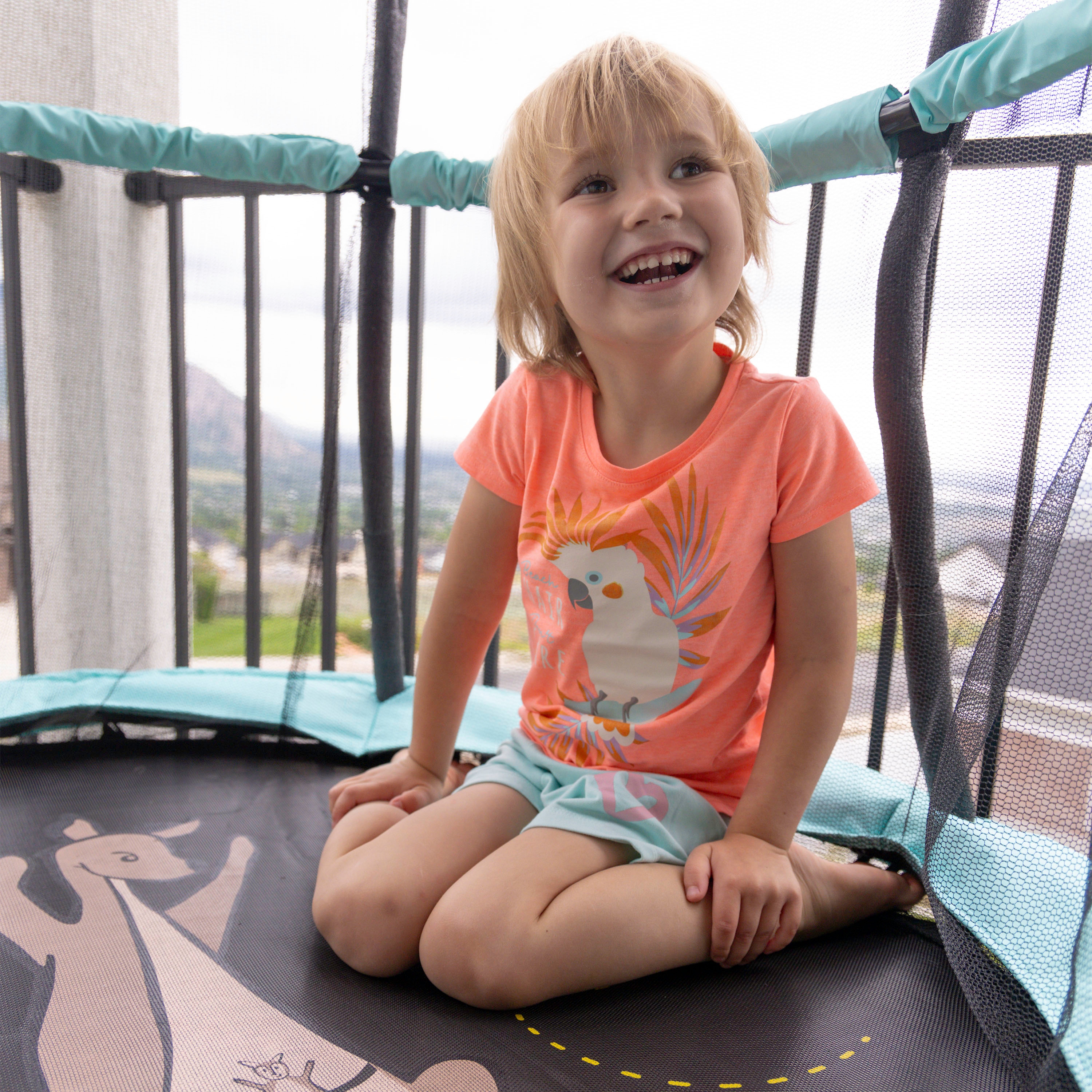 Kanga 12ft trampoline hotsell