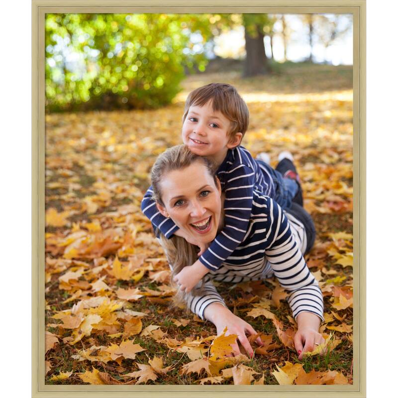 Lucie Black Framed Picture Frame, Photo Frame - 20x24 - Lucie Champagne