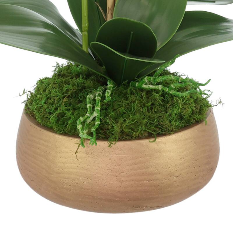 Orchid Arrangement in Fiberstone Planter - 23
