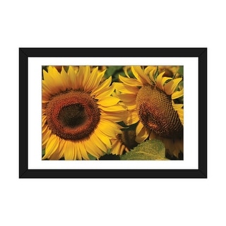 iCanvas "Sunflowers" by Brian Wolf PFA - Bed Bath & Beyond - 37267891