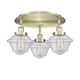 Option Antique Brass / Seedy