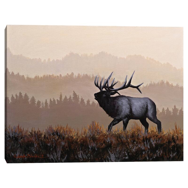 The Golden Hour by Chuck Black Canvas Art Print