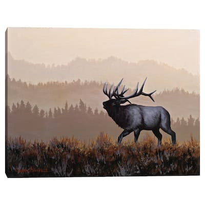 The Golden Hour by Chuck Black Canvas Art Print