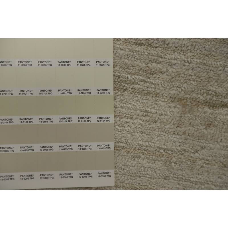 Hand Knotted Oriental Viscose Silk Carpet Tribal Animal Pictorial Beige & Ivories Gabbeh Area Rug - 9' 9'' X 10' 0''