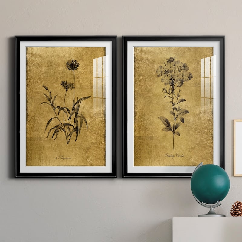 Gold Sketch Botanical I Premium Framed Print - Ready to Hang