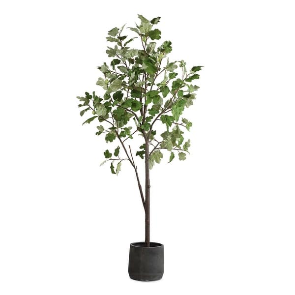 slide 2 of 4, Uttermost Eden Potted Fig Tree