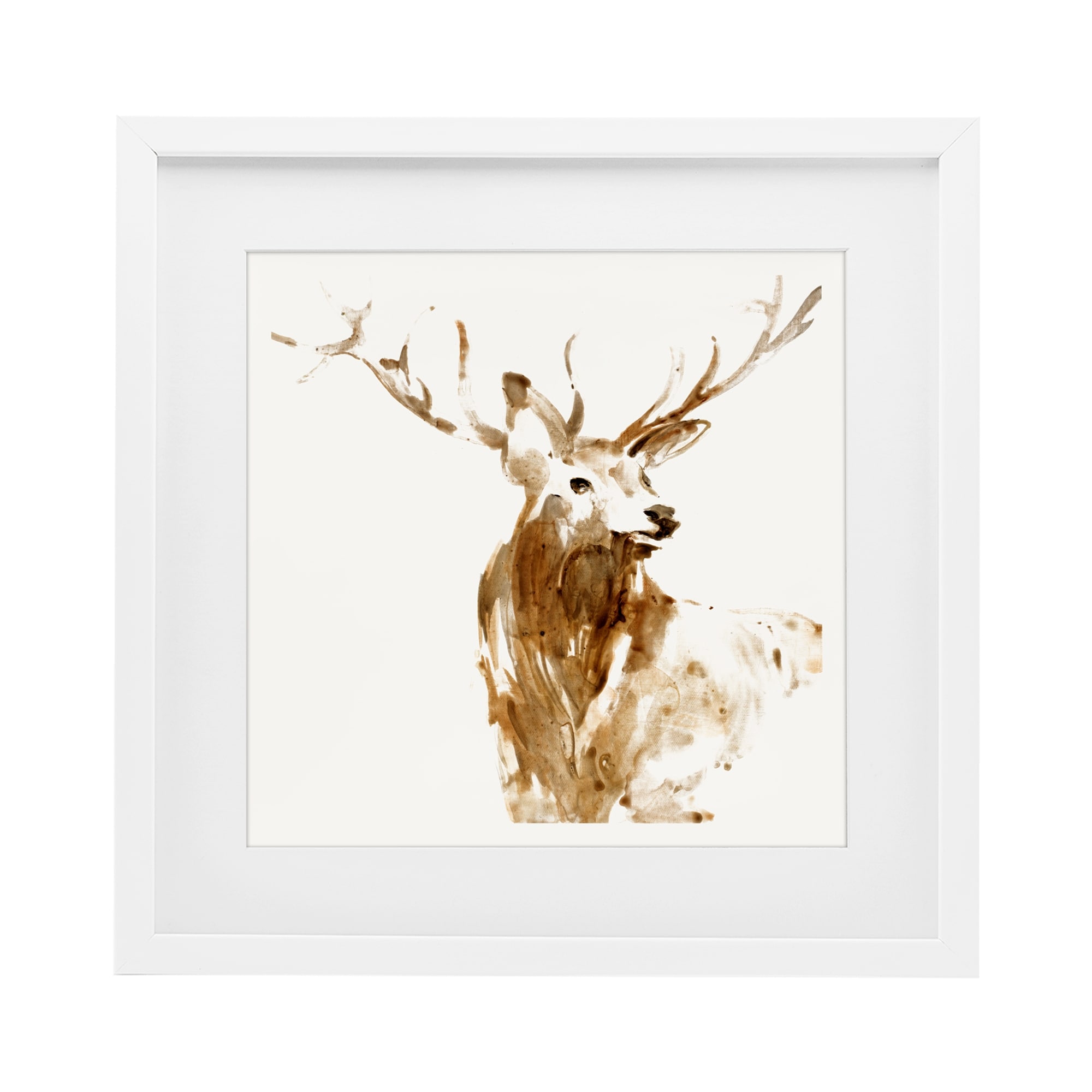 Stupell Deer Portrait Head Shot Under Glass Framed Design By Lorenzo Collective