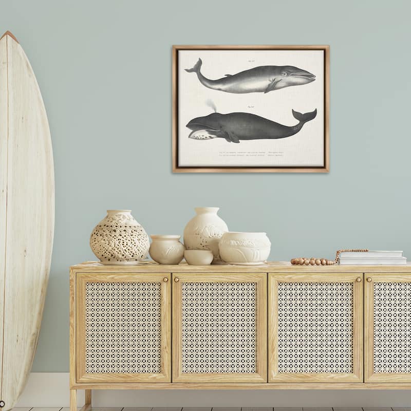 Stupell Vintage Whale Study Diagrams Framed Floater Canvas Wall Art Design By Phillipa Katz