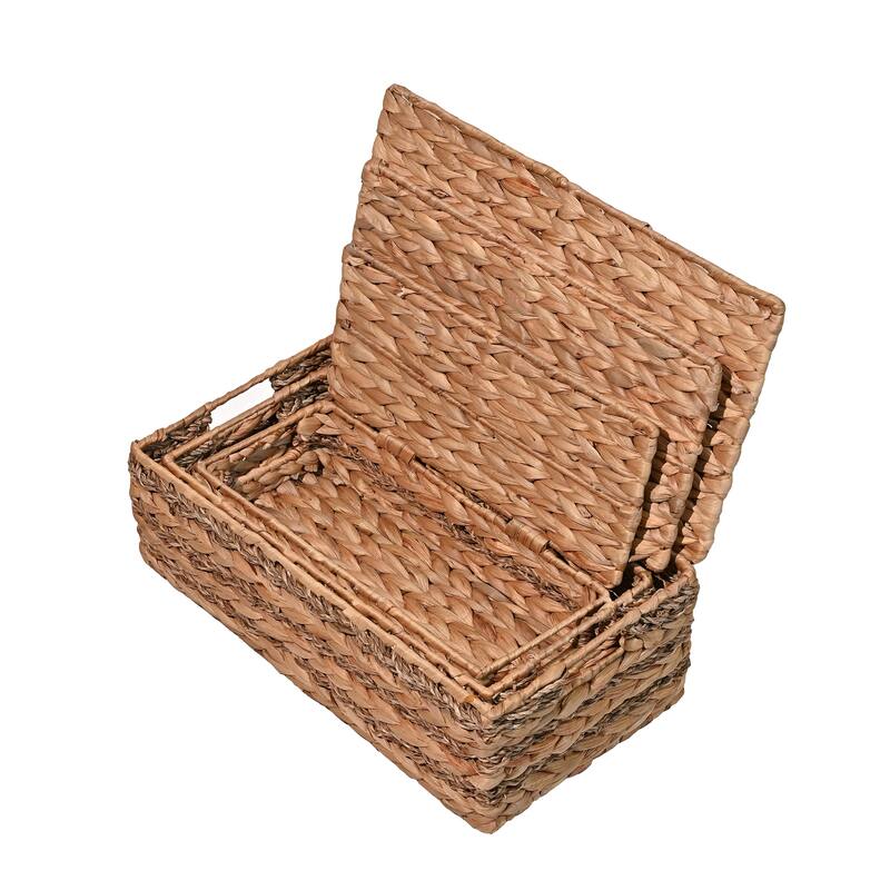Handwoven Hyacinth Storage Baskets with HandleS & Lids (Set 3)