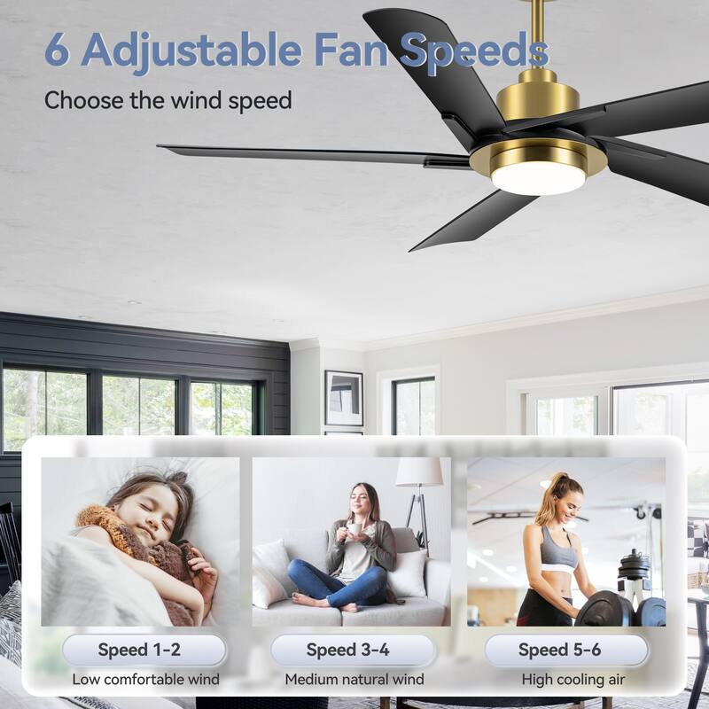 60" Modern Black ABS 5-Blade Propeller Ceiling Fan with Light and Remote