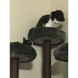 Shop Redwood 74 Inch Dark Brown Cat Tree Furniture Overstock
