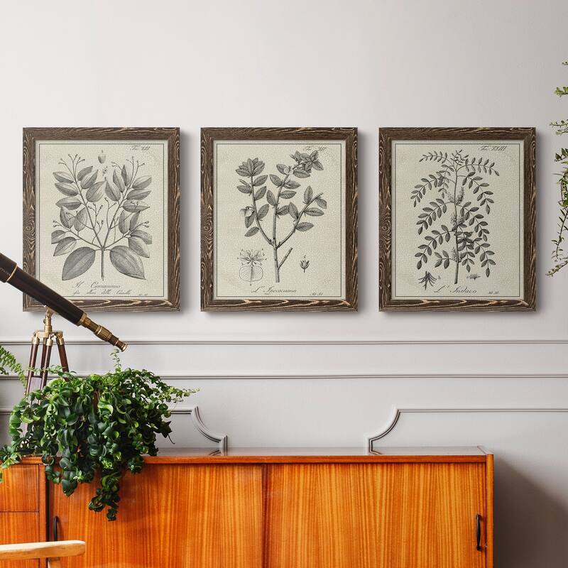 Antique Black & White Botanical VII-Premium Framed Canvas - Ready to Hang - Multi-Color