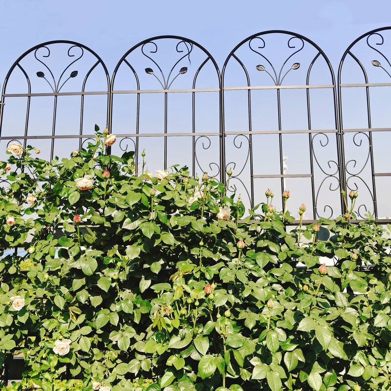 4 Pack Metal Garden Trellis 86.7in x 19.7in Rustproof Trellis