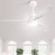 Option Matte White with Solid wood Blades