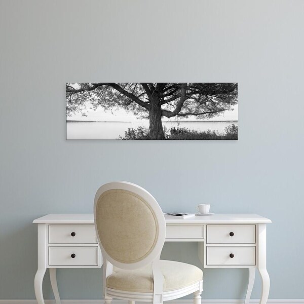 Easy Art Prints Panoramic Images's 'Tree at the lakeside, Wisconsin, USA' Premium Canvas Art