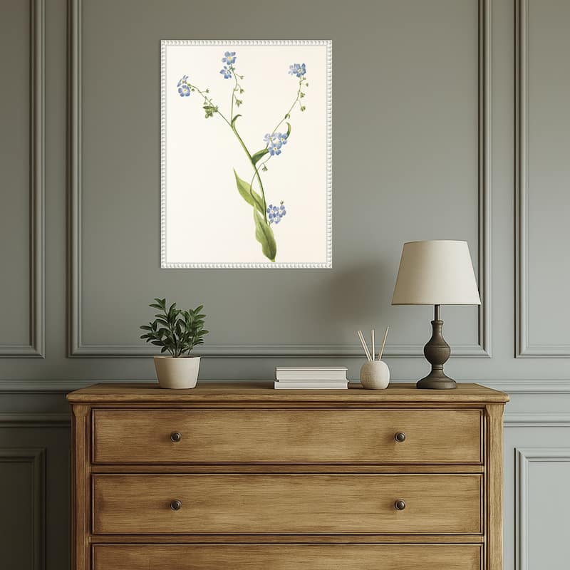Bur Forget Me Not From North American Wildflowers (1925) by Mary Vaux Walcott (18 x 24 in.), Framed Canvas Wall Art Print