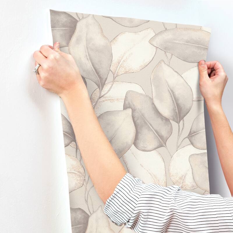 A-Street Prints Evanthe Grey Vine Wallpaper