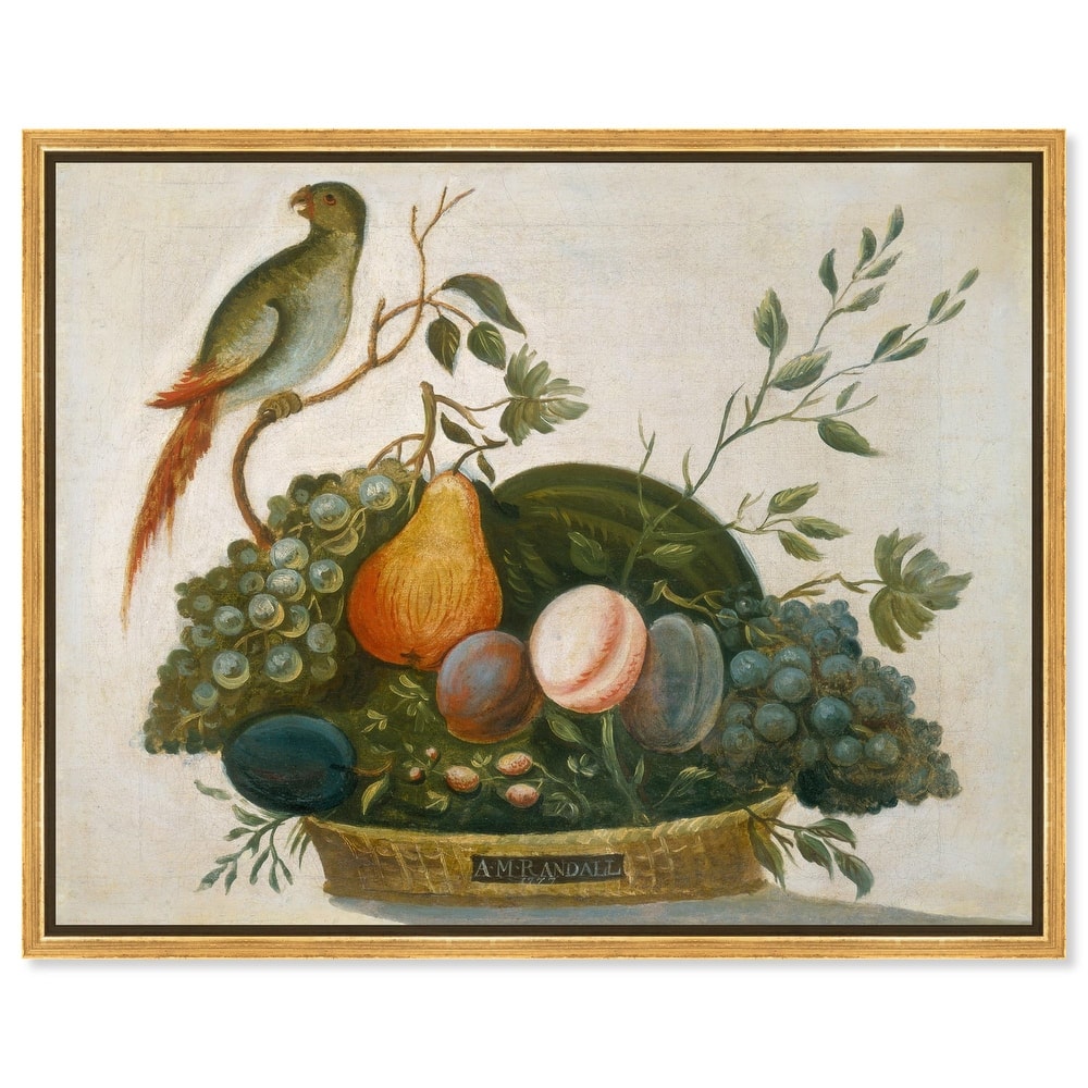 Randall Fruit with Parrot 1777 Canvas by Art Remedy
