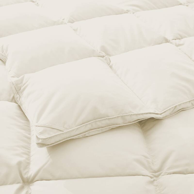 Medium Warmth All Season Paisley Floral & Solid Pattern Duvet Insert White Goose Down Feather Comforter