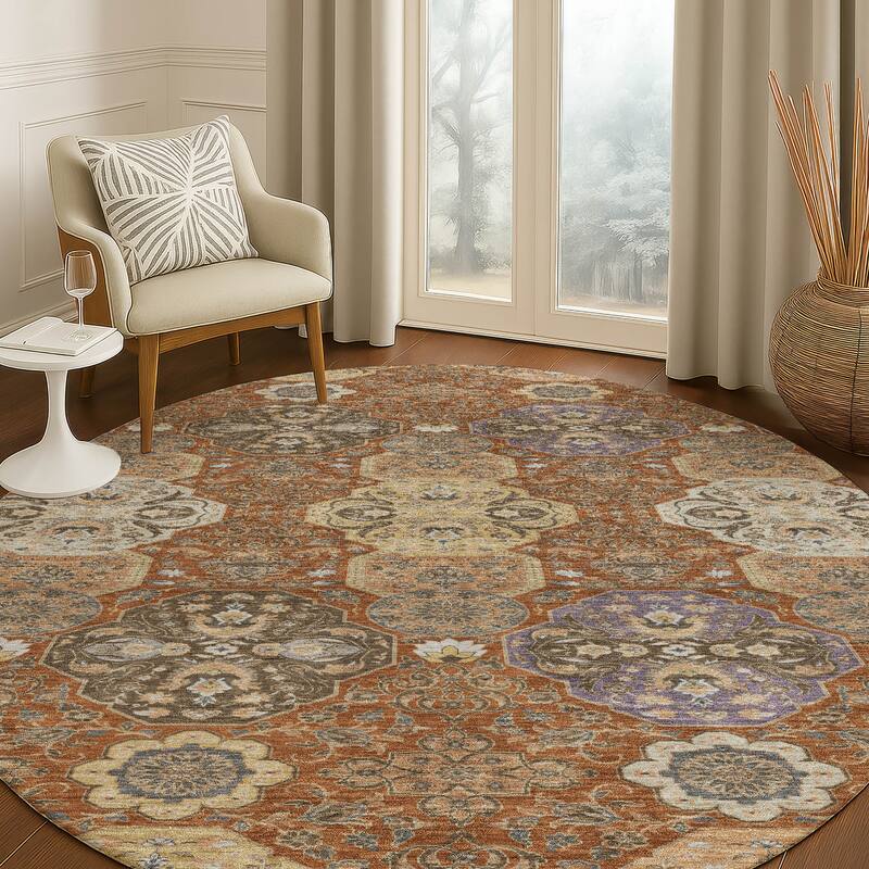 Machine Washable Indoor/ Outdoor Traditional Tracey Chantille Rug