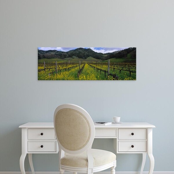 Easy Art Prints Panoramic Image 'Mustard plants growing in a vineyard, Napa Valley, California' Canvas Art
