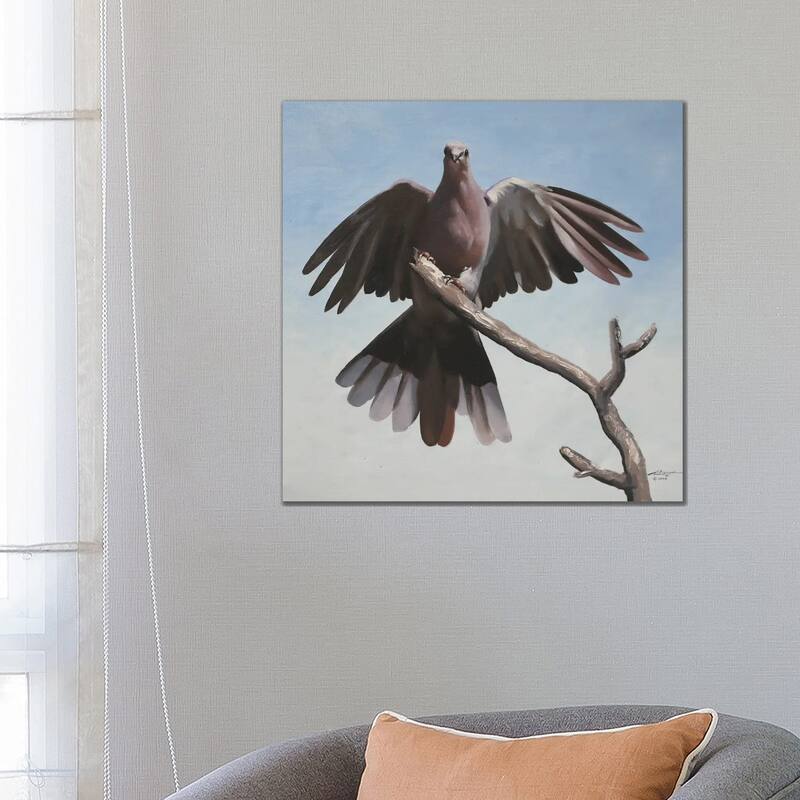iCanvas "Dove" by D. "Rusty" Rust Canvas Print - 26x26x1.5